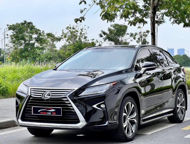 Lexus RX350 sản xuất năm 2018 (2)