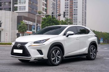 Lexus NX300 2019